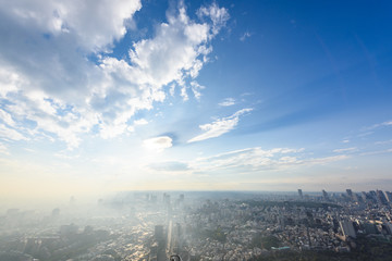 Obraz premium 霧の境目