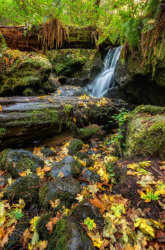 A Small Waterfall in the Mountains of California