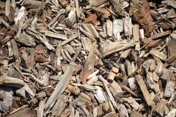 Wood