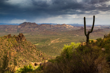 Wave Cave in The Superstition Mountains.