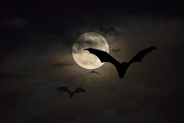 Bats flying on the full moon night.