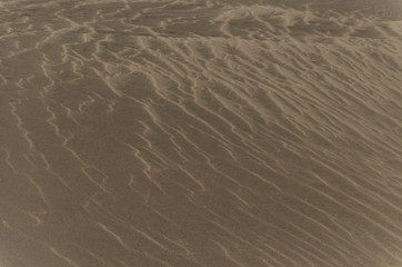 Sand Dune