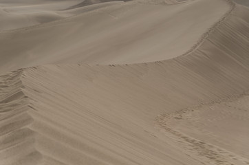 Sand Dune