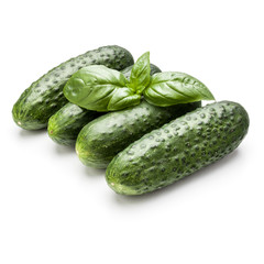 Cucumber vegetable and basil leaves isolated on white background cutout