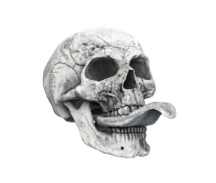Human skull on Rich Colors a White background. The concept of death, horror. A symbol of spooky Halloween. 3d rendering illustration.