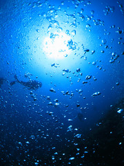 スキューバダイビング　海底から見上げたダイバーと太陽がある風景