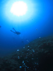スキューバダイビング　海底から見上げたダイバーと太陽がある風景