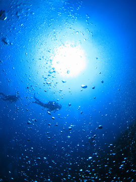 スキューバダイビング　海底から見上げたダイバーと太陽がある風景