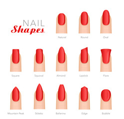 Professional manicure different shapes of nails vector - 175787203