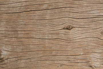 texture of bark wood use as atural