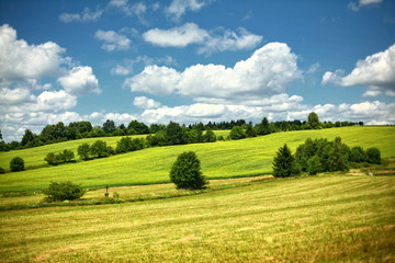 Rolling Green Hills in Meadow Landscape on Sunny Summer Day with Blue Sky and White Clouds