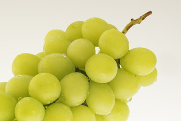 ブドウ　シャインマスカット　白抜き