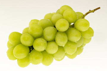 ブドウ　シャインマスカット　白抜き