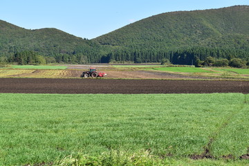 北海道の田園風景