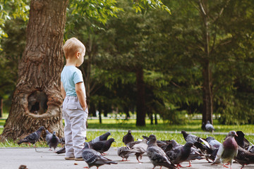 The boy runs after the pigeons in the park.