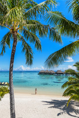 Fototapeta na wymiar Tahiti beach vacation woman at luxury resort. French Polynesia travel destination tourist relaxing at turquoise pristine water in ocean paradise with palm trees background.