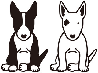 ブルテリア　犬 - obrazy, fototapety, plakaty