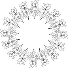 Fototapeta premium Tamanu tree, liner, round frame 1