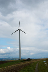 Fototapeta premium Windrad auf Feld