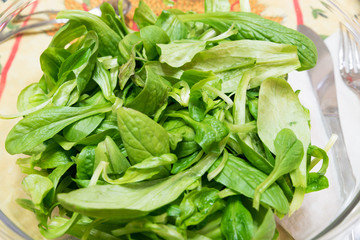Bowl of lettuce leaves