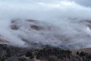 Fog covering some mountains, with trees in the foreground