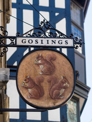 Hanging sign with three squirrels for the historical Goslings Bank located since at least 1743 at No. 19 Fleet Street, London, UK.