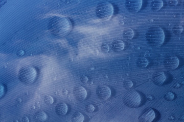 background with swan feather covered with drops of water and sky
