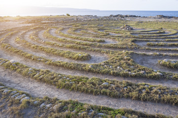 Labyrinth at Dragons Teeth point Maui 