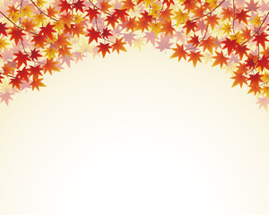紅葉 秋