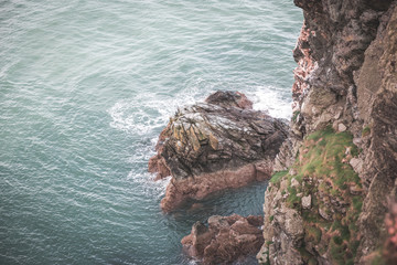 Howth Cliffs