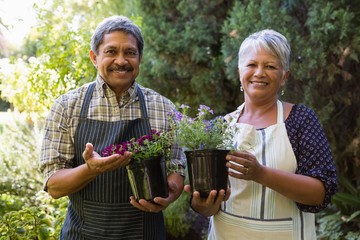 Happy senior couple holding pot plant in garden