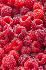 Red ripe raspberry healthy food concept
