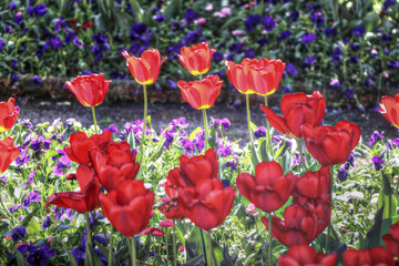 Obraz premium Czech Republic