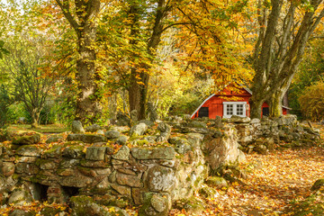 Footpath by a stone wall in a garden in the autumn
