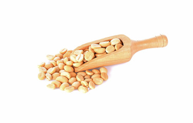 Coffee beans in scoop on white background