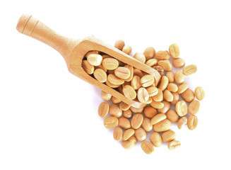Coffee beans in scoop on white background