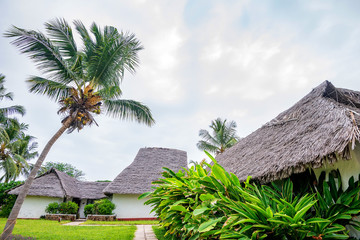 Fototapeta na wymiar View of palms and villas at tropical destination