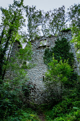 Fototapeta premium Ruines à Peyrusse-le-Roc