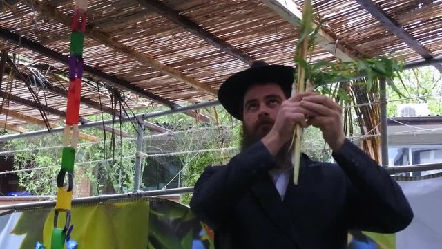 Jewish Orthodox Rabbi blessing on the Four Species in a Sukkah on sukkot Feast of Tabernacles or Feast of the Ingathering.