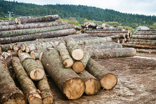 Saudi Arabian hacker. Laptop with binary computer code and Saudi Arabia flag on the screen. Internet and network security. Muslim hacker.