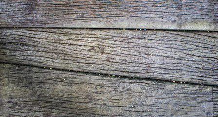 wood and old texture. Abstract background