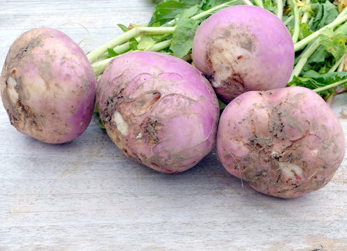 navets roses bio,isol&eacute; fond bois