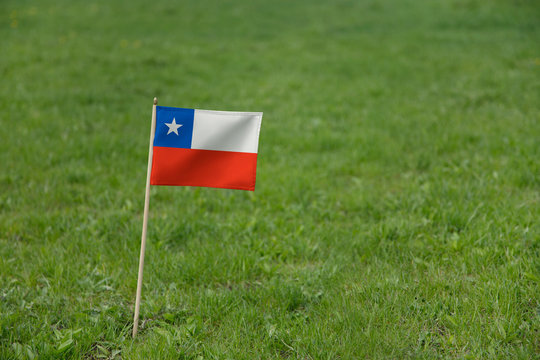 Chile flag, Chilean flag on a green grass lawn field background. National flag of Chile waving outdoor