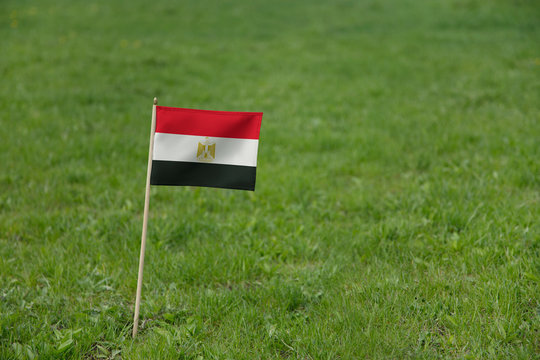 Egypt flag, Egyptian flag on a green grass lawn field background. National flag of Egypt waving outdoor
