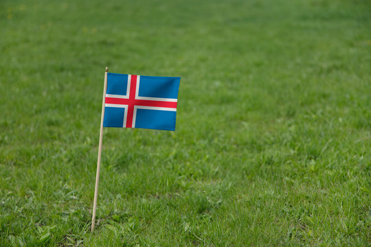 Iceland flag, Icelandic flag on a green grass lawn field background. National flag of Iceland waving outdoor