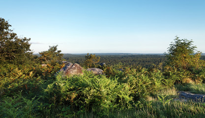 Fototapeta na wymiar Point de vue du rocher Corne-biche en forêt de fontainebleau