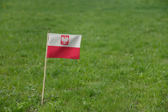 Poland flag with coat of arms, Polish flag on a green grass lawn field background. National flag of Poland waving outdoor