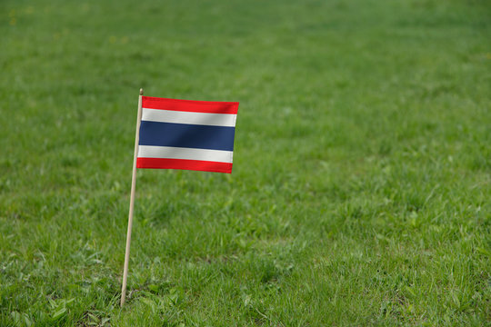 Thailand flag, Thai flag on a green grass lawn field background. National flag of Thailand waving outdoor