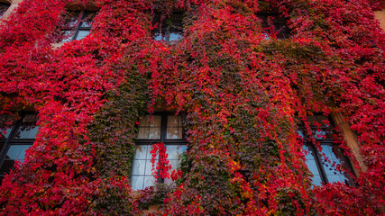 sights of the German city of Nuremberg