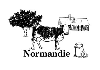 Vache de Normandie